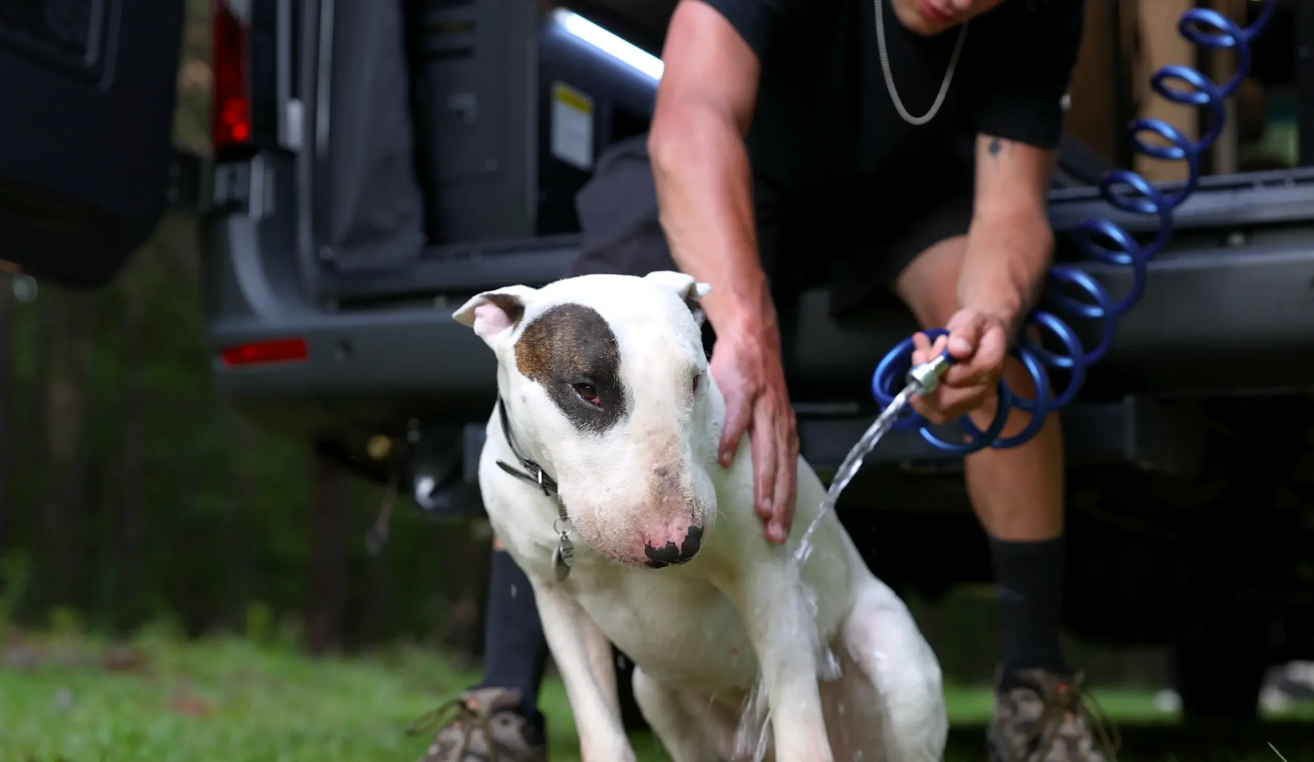 tiffin-adventure-image